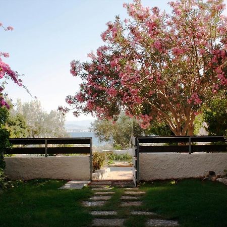 Beachfront Garden Apartment- Atlas Complex Loutraki  Bagian luar foto